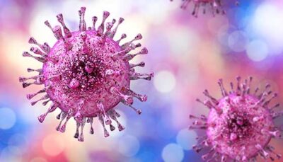 Herpes simplex virus type specific serology assay availability