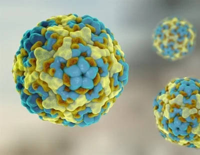 Parechovirus Encephalitis and Neurodevelopmental Outcomes