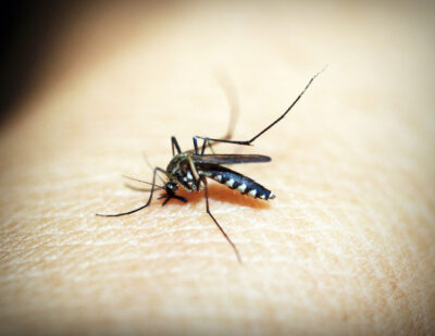 Update: Zika virus: clinical and travel guidance