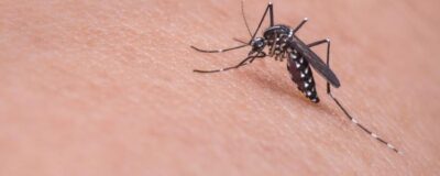 Zika virus: updated guidance